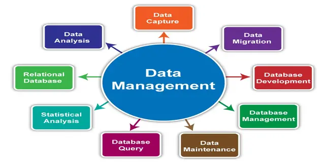 data base management 